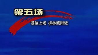 奇米网国产,探索本土创意与创新的无限可能